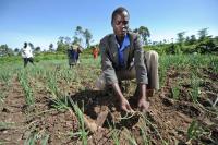 Unequal Exchange in Africa’s CFA Zone