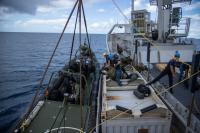 Defense conducts emergency aid exercises in Saint Martin and Saba during the annual hurricane drill