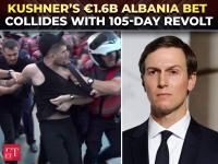 'Save our wetlands': Albania’s 'flamingo revolution' explodes into violence over Kushner's resort