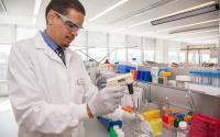 StockWatch: Novartis Loses More than Market Value After Phase III Failure