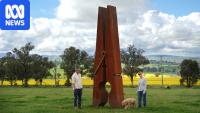 Home for sale with 5-metre clothes peg in front paddock