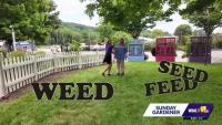 Valley View Farmers: Is it time to feed, seed, or weed the lawn?