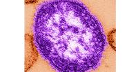Pennsylvania officials report state's 3rd death involving measles