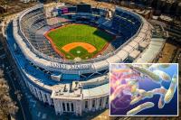 Legionnaires’ bacteria detected in 10 Bronx cooling towers, including Yankee Stadium: NYC health officials