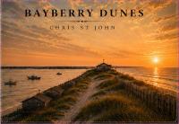 Local Musician Pays Homage to Lost Fire Island Community