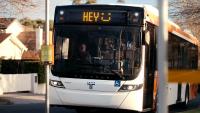 Transport Victoria looks to win hearts with ‘Love, The Bus’ campaign