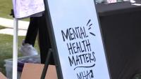 Mental health experts urge awareness of warning signs for mothers and men at risk of suicide