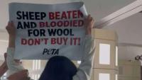 PETA Activists Plan to File Police Report Against CFDA CEO Steven Kolb, Seen Restraining Them During Cos’ Runway Show