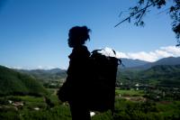 Biodiversity corridor payments boost household incomes in Vietnam’s Annamite mountains