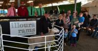 Buyers flock from wide area to bid up at final Illoura White Suffolk sale