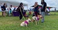 PetPalooza brings Guam’s pet lovers together Sept. 19