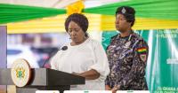 Horticulture can create jobs, businesses and export opportunities for Ghana – Prof Naana Jane