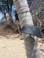 AI camera network expands across Sainte Anne Marine National Park
