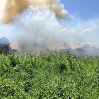 Environmental Groups: Burn Not Farm and Household Waste to Improve Air Quality