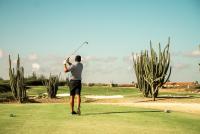Perfect Swings, Paradise Feelings 