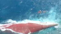 Indonesian rescuers race to fine 129 missing passengers of capsized ship in Java Sea