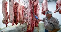 Northwest Montana ranchers band together to ease meat packing pressures through co-op