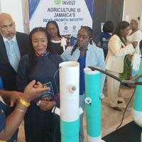Gov’t says local farmers to get first choice in supplying tourism sector