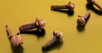 Food history: How the French ‘stole’ and transplanted cloves in their colonies in the 18th century