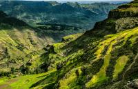 Freedom program in Ethiopia bears fruit