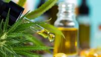 Cannabis: do workplaces have a problem with ‘drug thinking’?