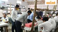 Election Results: BJP takes lead over Congress in Rajasthan local body polls as counting continues