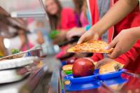 Fermanagh farmers call for more local food in schools
