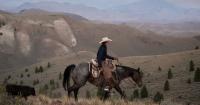 Idaho ranchers keep innovating to raise sustainable beef