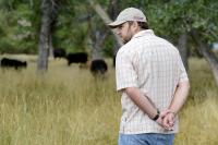 How one small-scale Colorado rancher has withstood drought, rising costs and Trump’s plan to import beef 