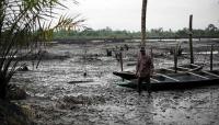 CSOs Seek Policies to Address Pollution, Livelihood Losses in Niger Delta