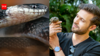 Ecuador biologist searching cloud forests for a book found a new snake species
