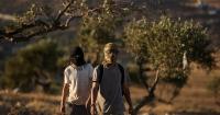 Rights group says Israeli actions in West Bank designed to 'eliminate' Palestinian nationhood