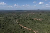 Mining for minerals in the Congo could help save the rainforest, former minister says
