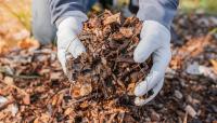 California wildfire survivors told to use organic mulch as El Niño raises flood, toxic runoff risks