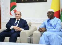 Sifi Ghrieb Holds Talks in Bamako with Malian Counterpart