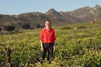 ‘It has been a defining decade for the Cape’s wine industry and the next 10 years are even more exciting’