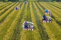 China Audits Farmland Use, Hits Businesses With New Fees Ahead of 2027 Law