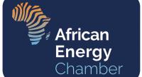 Africa’s  Energy Transition On The Brink Over Nigeria-South Africa’s Diplomatic Crisis- AEC