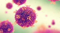 Measles-related deaths in Pennsylvania rise to 4, health officials say