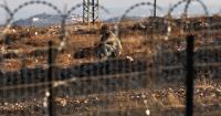Human rights group accuses Israel of 'Palestinian elimination' in West Bank