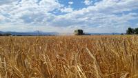 Boulder County Invites Agricultural Community to Share Housing Needs and Experiences