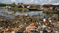 CSOs advocate urgent action on pollution, ecological crises in Niger Delta