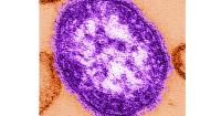 Pennsylvania Announces 3rd Death This Year Involving Measles