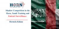 Shadow Competition in the Horn, Saudi Training and Emirati Surveillance