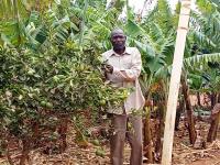 Rumphi farmers praise NASFAM training for improved harvests and income