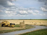 Kellogg’s backs British farmers through new regenerative agriculture programme across 100% of its UK wheat