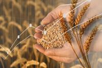 Farm costs, debts have surged since the 2018 farm bill