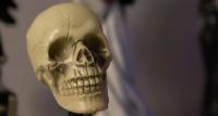 Spooky New Latine Books to Start Off Latine Heritage Month
