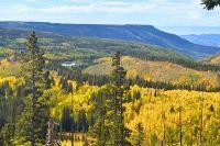 Colorado Fall Photos Show Grand Mesa in Gold