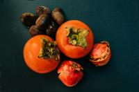 Oklahoma Persimmon Seeds Predict Snowy Winter 2026-27